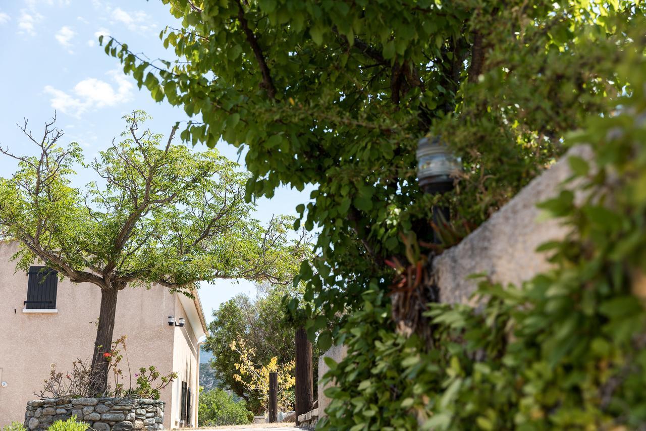 Residence Costa D'Oru Saint-Florent  Zewnętrze zdjęcie